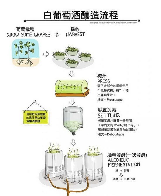 白葡萄酒的釀造流程